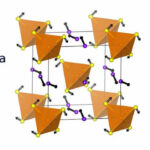 Courtesy: Duke University