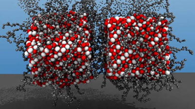 Courtesy: Yaroslava Yingling and Akhlak Ul-Mahmood, North Carolina State University