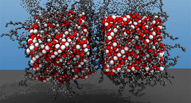 Courtesy: Yaroslava Yingling and Akhlak Ul-Mahmood, North Carolina State University