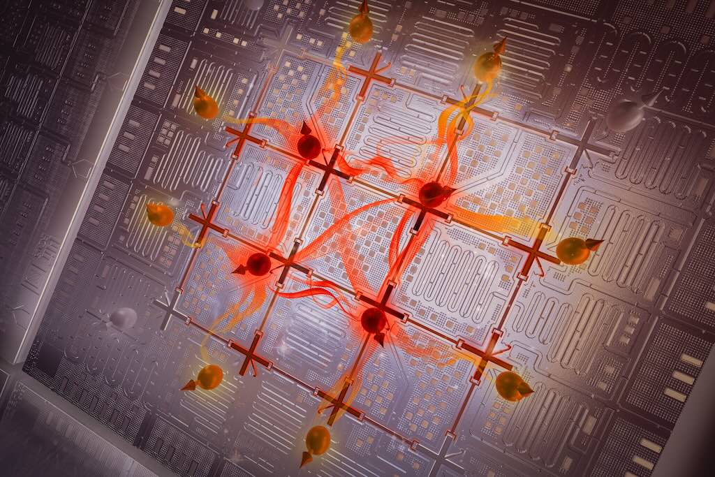 In a large quantum system comprising many interconnected parts, one can think about entanglement as the amount of quantum information shared between a given subsystem of qubits (represented as spheres with arrows) and the rest of the larger system. The entanglement within a quantum system can be categorized as area-law or volume-law based on how this shared information scales with the geometry of subsystems, as illustrated here. 